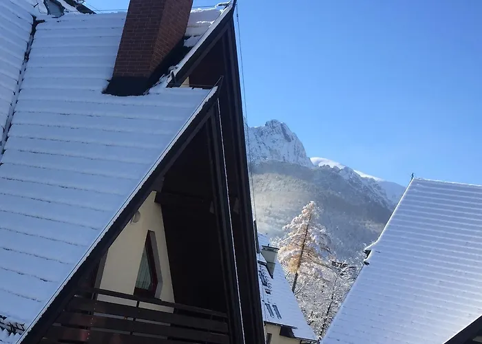 Platinum 자코파네